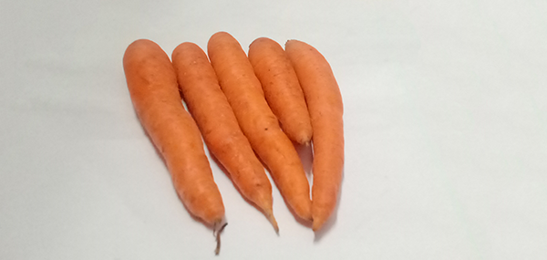 Carrot