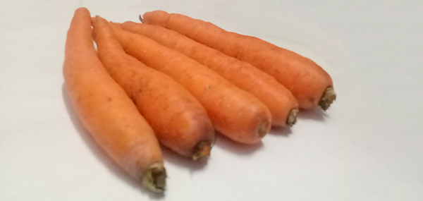 Carrot
