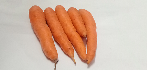 Carrot
