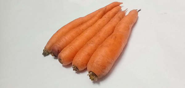 Carrot