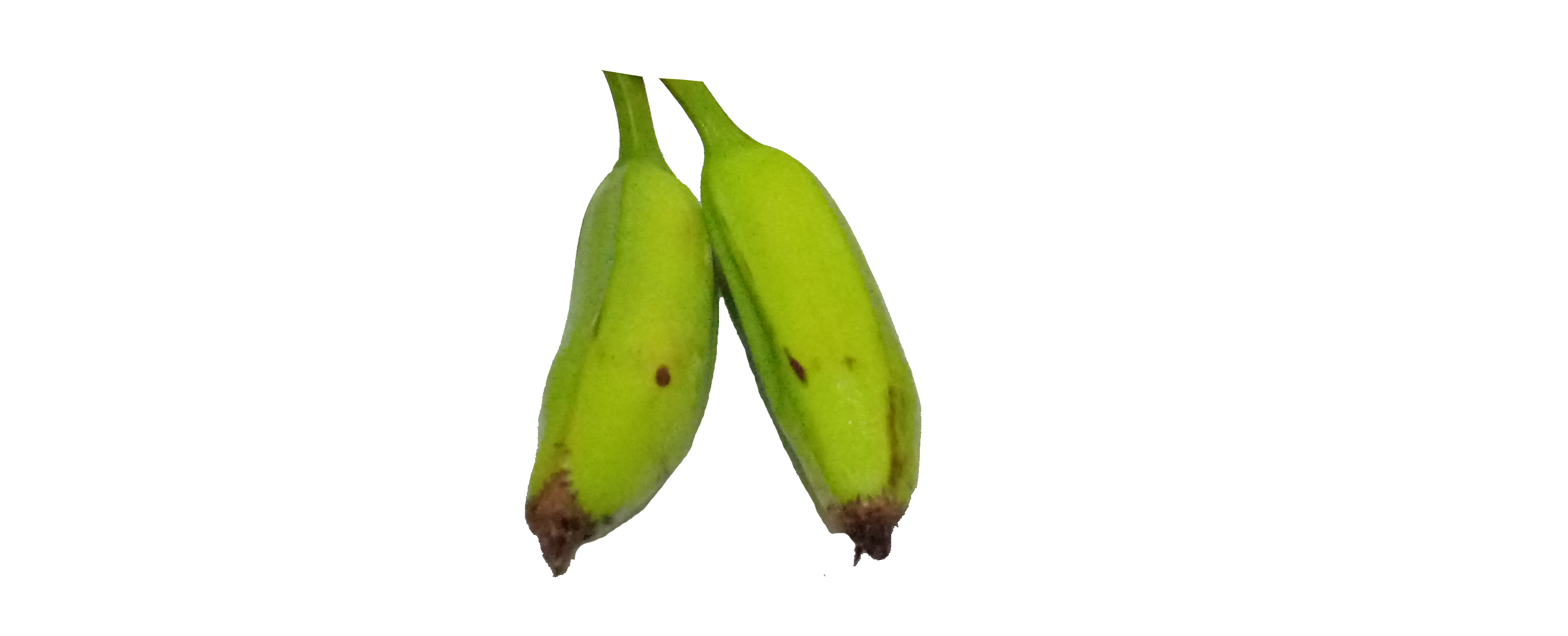 Rawbanana