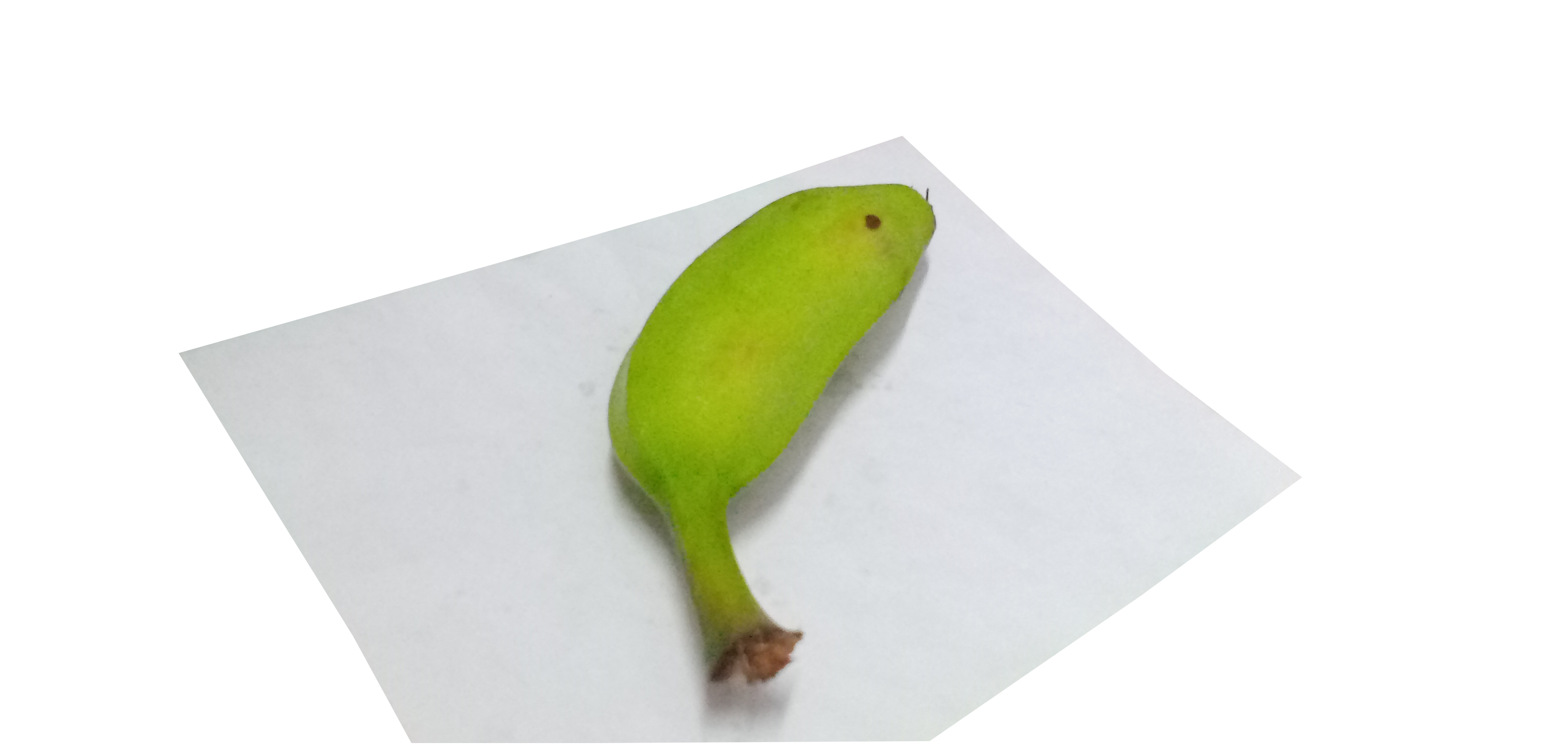 Rawbanana
