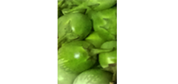 Brinjal
