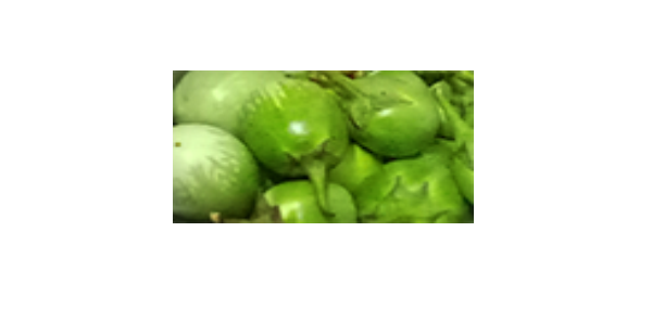 Brinjal