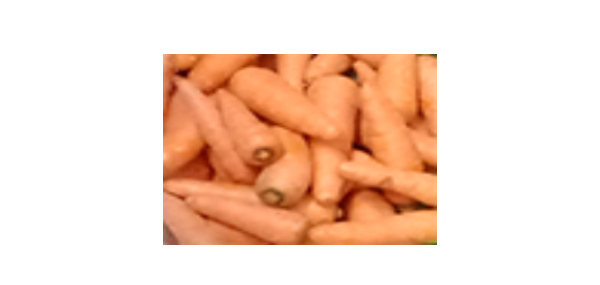 Carrot