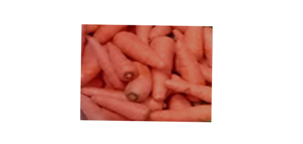 Carrot
