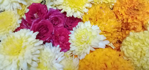 Chamanthi,redrose,Banthi flowers