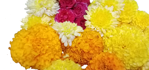 Chamanthi,redrose,Banthi flowers