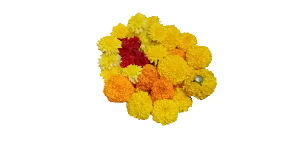 Chamanthi,redrose,Banthi flowers