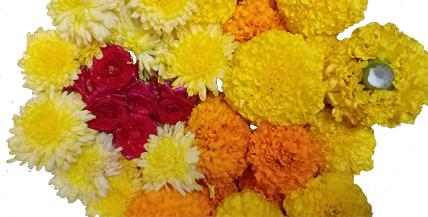 Chamanthi,redrose,Banthi flowers