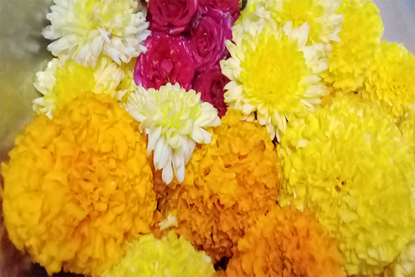 Banthi flowers