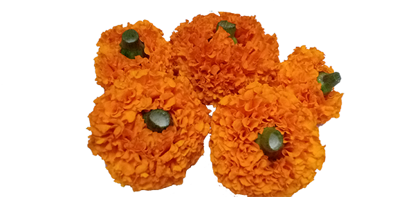 Banthi flowers