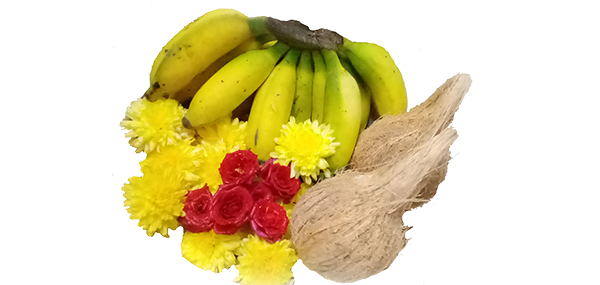 coconut, flowers and fruits