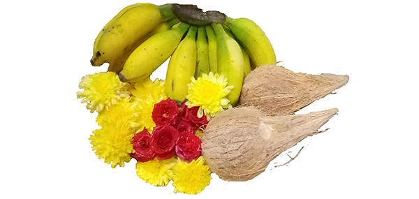 coconut, flowers and fruits