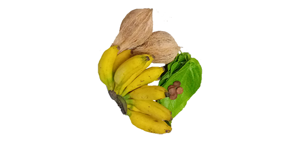 coconut, flowers and fruits