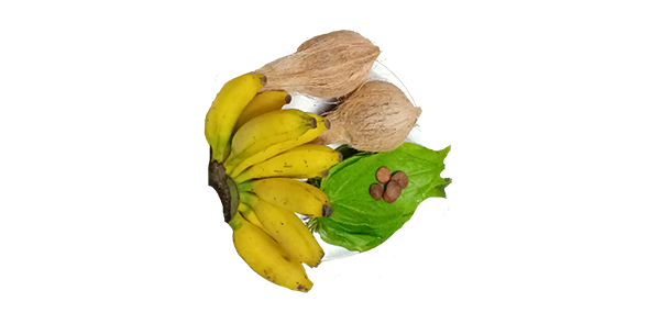 coconut, flowers and fruits