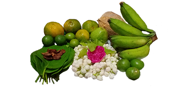 coconut, flowers and fruits