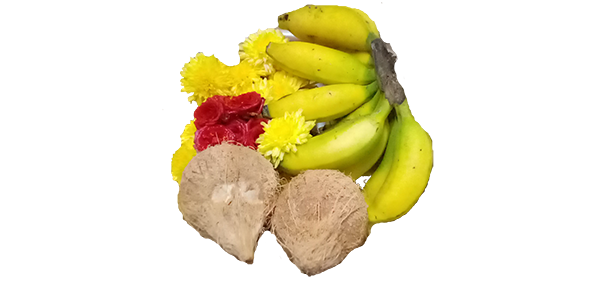coconut, flowers and fruits
