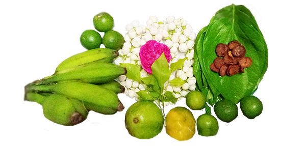 coconut, flowers and fruits