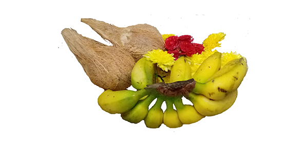 coconut, flowers and fruits