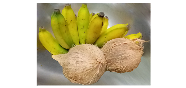 coconut, flowers and fruits