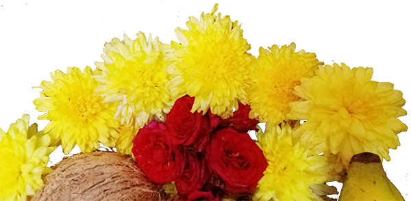 coconut, flowers and fruits