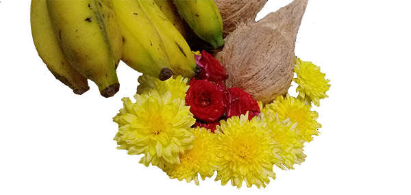 coconut, flowers and fruits