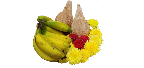 coconut, flowers and fruits