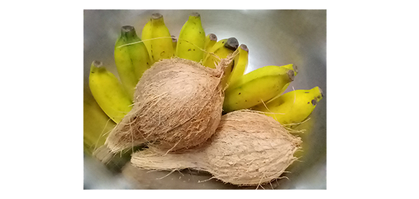 coconut, flowers and fruits