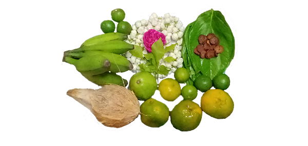coconut, flowers and fruits