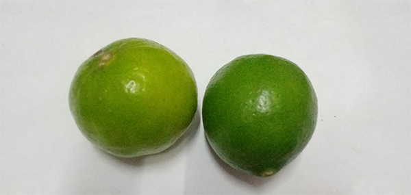 fruits 