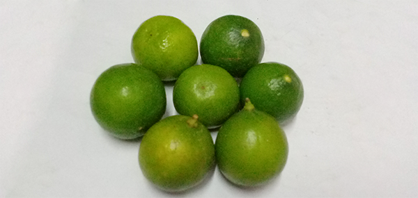 fruits 
