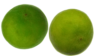 fruits 