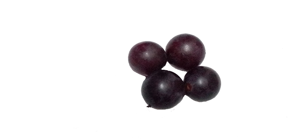 grapes