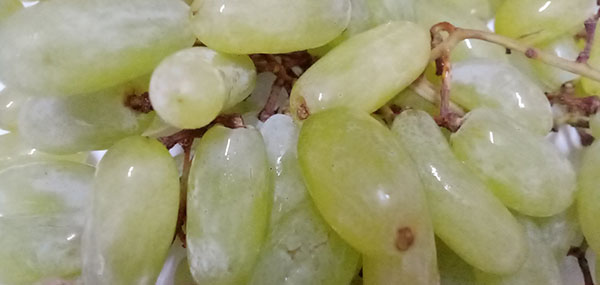 grapes