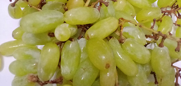 grapes