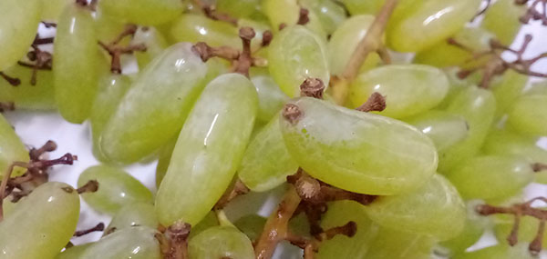grapes