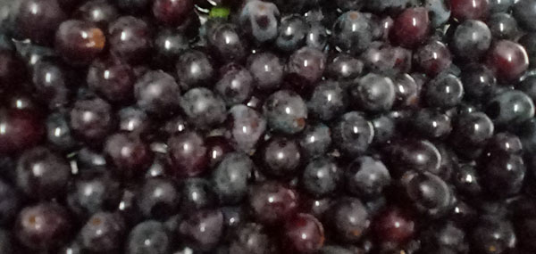 grapes