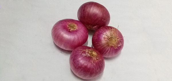 Onion