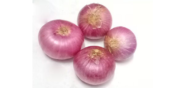 Onion