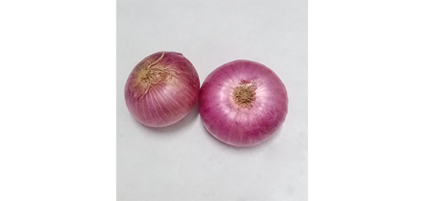 Onion