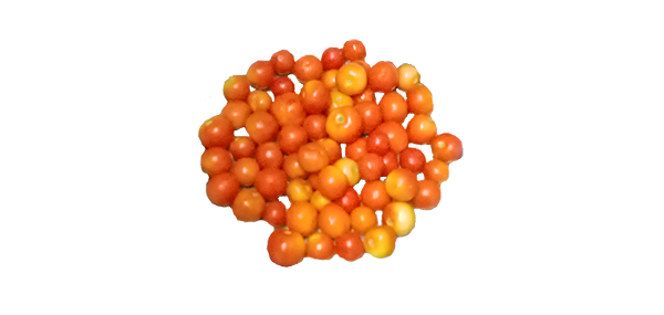 tomato