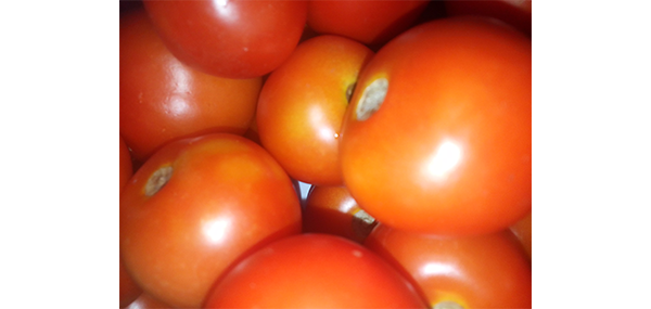 tomato