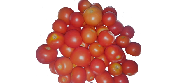 tomato
