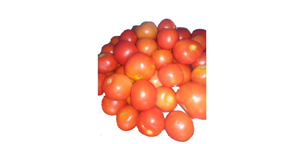 tomato
