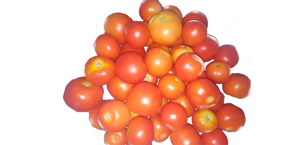 tomato