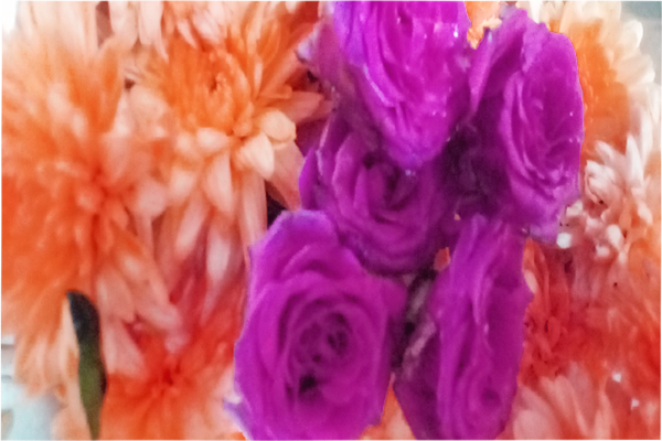 Chrysanthemum; chamanthi and yellow Flowers; Banthi Flower marigold flower