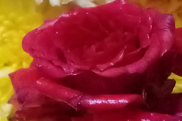 Chrysanthemum; chamanthi and yellow Flowers; Banthi Flower marigold flower