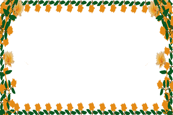 greeting card color images